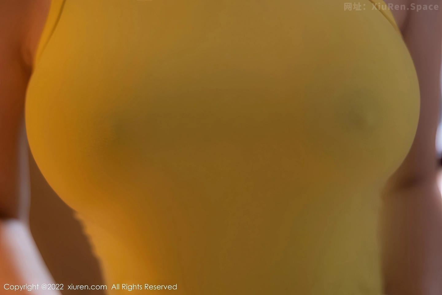 图片[2]-[XiuRen秀人网] VOL.5843 模特顾乔楠Cora性感黄色短款上衣配灰短裙秀丰腴身姿诱惑写真80P-秀人网官方网站